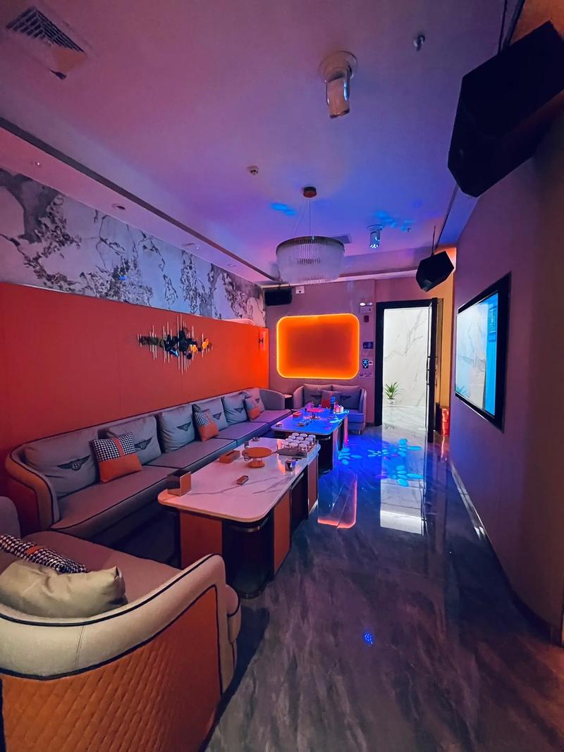 雅安商务ktv环境与服务好吗-芦山县ktv预定